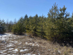Участок Ангарский городской округ 255-й квартал. Фото 2