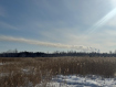 Участок Ангарский городской округ 259-й квартал. Фото 2