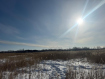 Участок Ангарский городской округ 259-й квартал. Фото 4