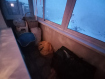 3-комнатная квартира, квартал 92/93, 8. Фото 16