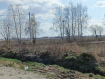 Участок Суздальский район . Фото 4
