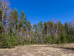 Участок Судогодский район . Фото 6