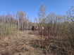 Участок городской округ Владимир Октябрьский район. Фото 5