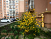 1-комнатная квартира, Шахматная улица, 2Б. Фото 20