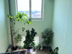 2-комнатная квартира, городок Софрино-1, 3. Фото 6