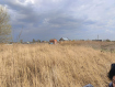 Участок Рязанский район . Фото 3