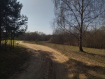 Участок Судогодский район . Фото 3
