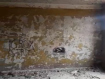 Коммерческая недвижимость  Сковородинский муниципальный округ Советская улица, 90. Фото 6