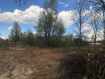 Участок Суздальский район . Фото 3