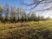Участок Суздальский район . Фото 17
