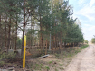 Участок городской округ Владимир Октябрьский район. Фото 7