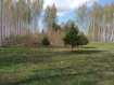 Участок городской округ Владимир Октябрьский район. Фото 7