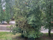 1-комнатная квартира, улица Абашева, 5. Фото 10