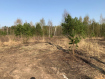 Участок городской округ Щёлково . Фото 1