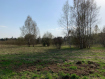 Участок городской округ Щёлково . Фото 2