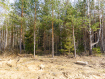 Участок Ковровский район . Фото 2