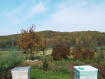 Дом Гафурийский район . Фото 17