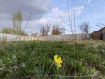 Участок городской округ Калуга . Фото 10