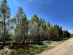Участок Рязанский район . Фото 22