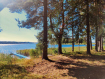 Дом Вытегорский район . Фото 31