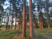 Дом Вытегорский район . Фото 32