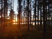 Дом Вытегорский район . Фото 33