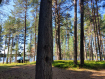Дом Вытегорский район . Фото 36