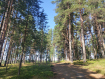 Дом Вытегорский район . Фото 39
