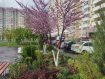 1-комнатная квартира, переулок Андреева, 5. Фото 11