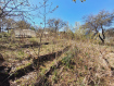 Участок городской округ Владимир Октябрьский район. Фото 6