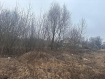 Участок городской округ Владимир Ленинский район. Фото 5