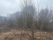 Участок городской округ Владимир Ленинский район. Фото 13