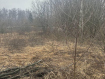 Участок городской округ Владимир Ленинский район. Фото 16
