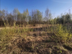 Участок Суздальский район . Фото 3