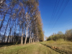 Участок Суздальский район . Фото 8