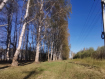 Участок Суздальский район . Фото 10