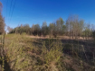 Участок Суздальский район . Фото 1