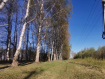 Участок Суздальский район . Фото 3