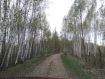 Участок Собинский район . Фото 6