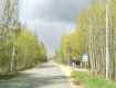 Участок Собинский район . Фото 8