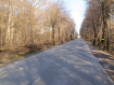 Участок Багратионовский городской округ . Фото 12