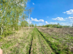 Участок Рыбновский район . Фото 2