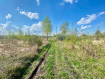Участок Рыбновский район . Фото 6