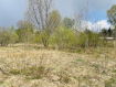 Участок Богородский городской округ . Фото 3