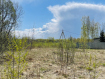 Участок Богородский городской округ . Фото 5