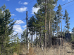 Участок городской округ Улан-Удэ Железнодорожный район. Фото 2