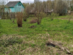 Участок Ивановский район . Фото 3