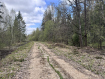 Участок городской округ Пушкинский микрорайон Пушкинский Лес. Фото 9