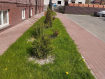 1-комнатная квартира, Калининградская улица, 12Б. Фото 26