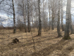 Участок Ковровский район . Фото 3